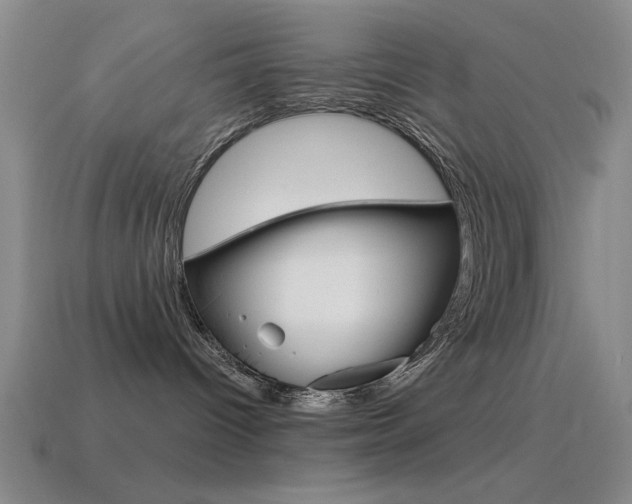 X0000115650096200911101125