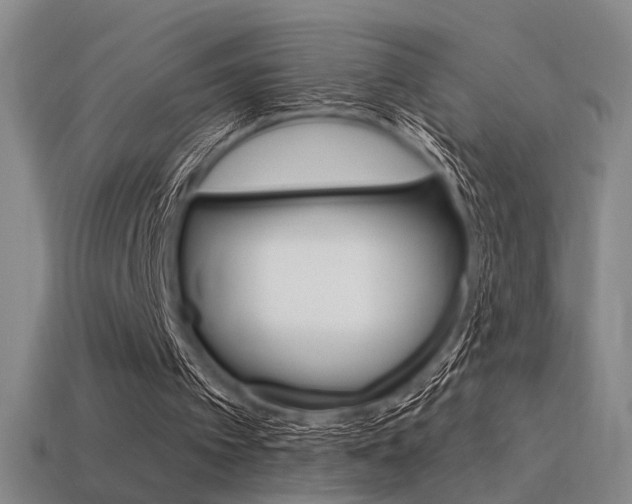 X0000115650097200911101125