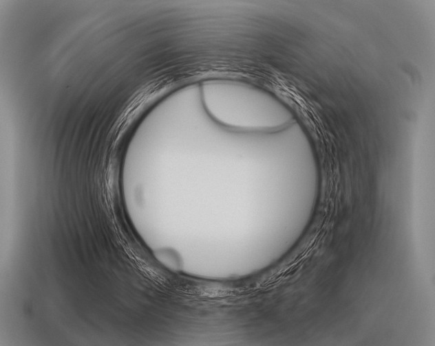X0000115650098200911101125