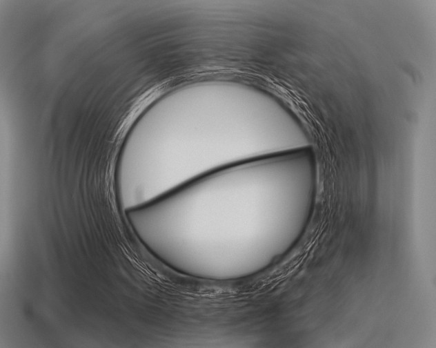 X0000115650099200911101125