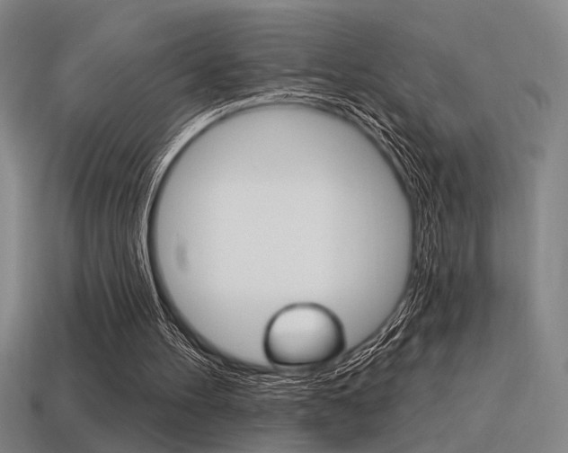 X0000115650100200911101125