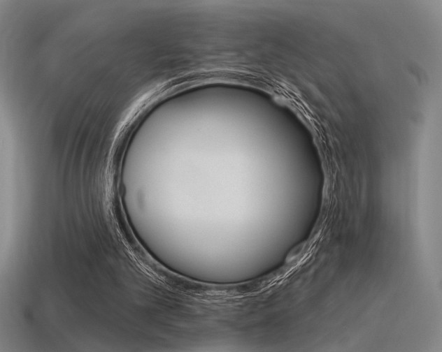X0000115650101200911101125