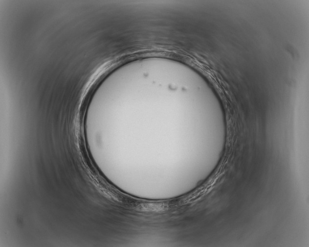 X0000115650102200911101125