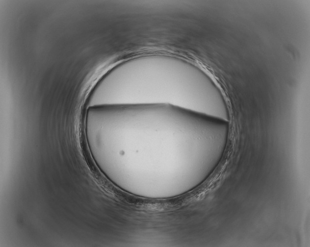 X0000115650103200911101125