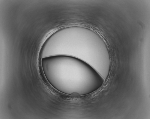 X0000115650104200911101125