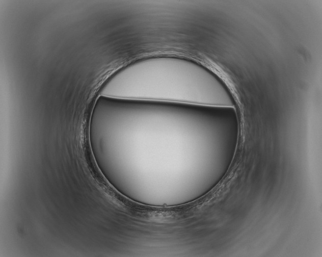 X0000115650105200911101125