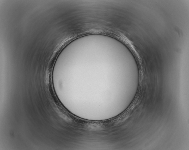 X0000115650106200911101125