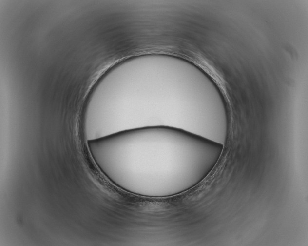 X0000115650107200911101125