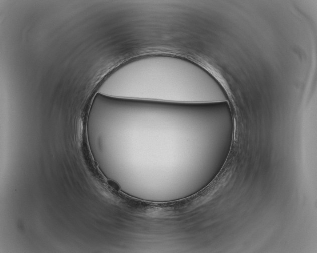 X0000115650109200911101124