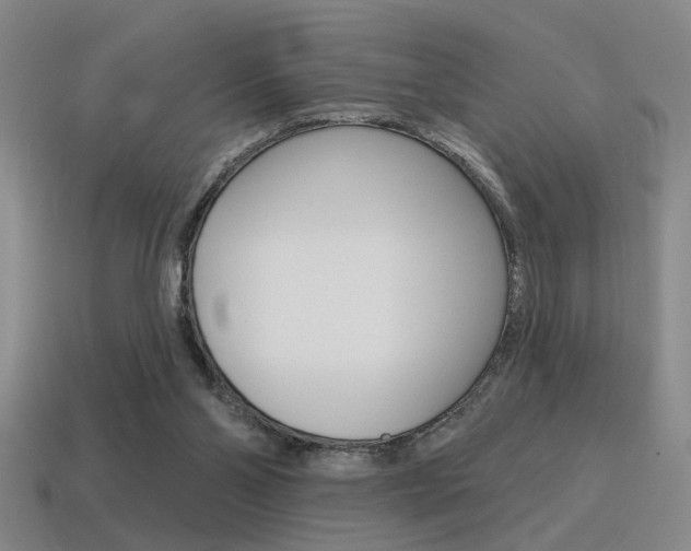 X0000115650110200911101124