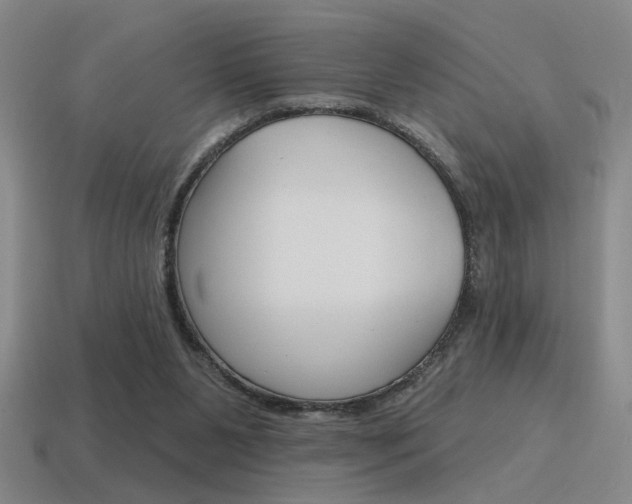 X0000115650111200911101124