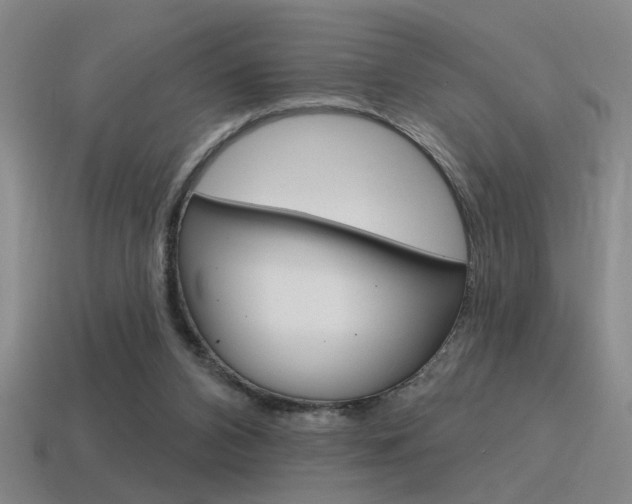 X0000115650112200911101124