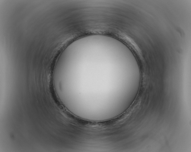 X0000115650113200911101124