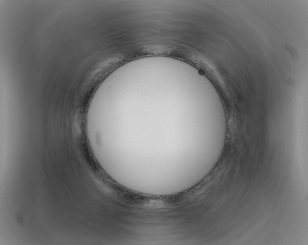 X0000115650114200911101124