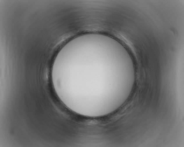 X0000115650115200911101124