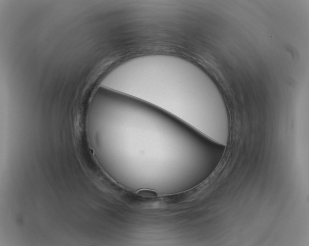 X0000115650116200911101124