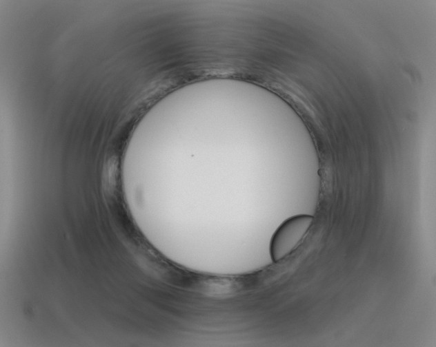 X0000115650118200911101124