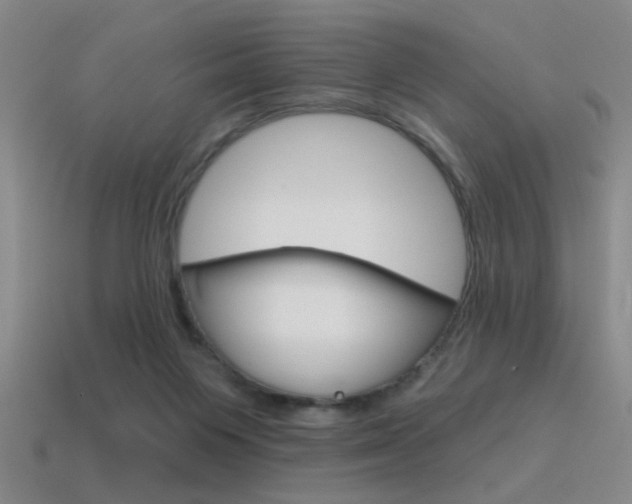 X0000115650119200911101124