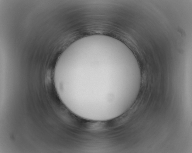 X0000115650122200911101124