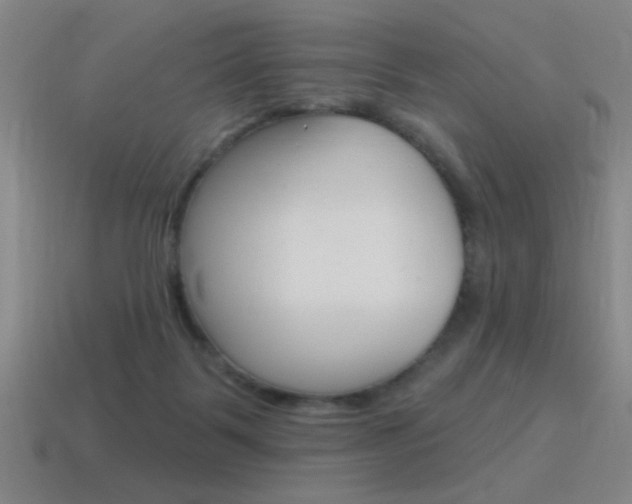 X0000115650123200911101124