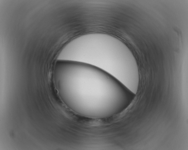 X0000115650124200911101124