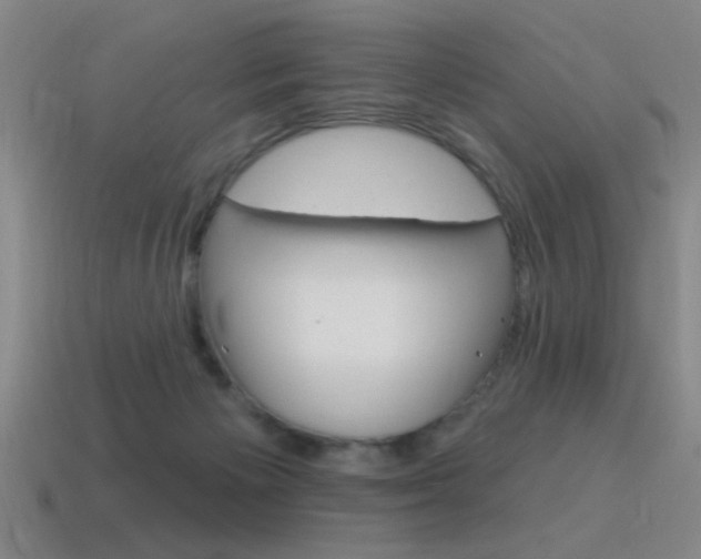 X0000115650125200911101124
