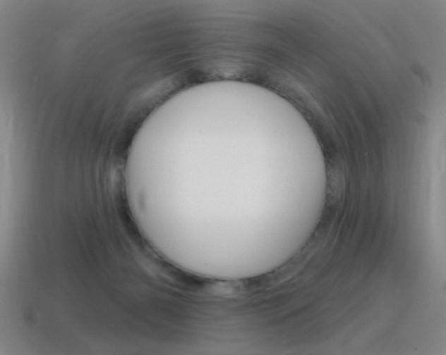 X0000115650126200911101124