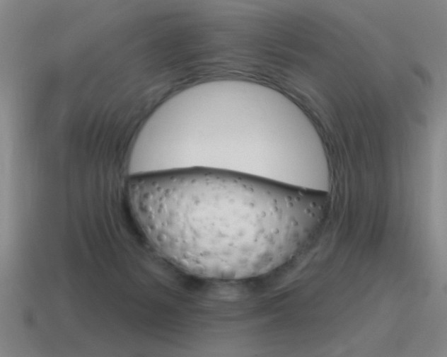 X0000115650127200911101124