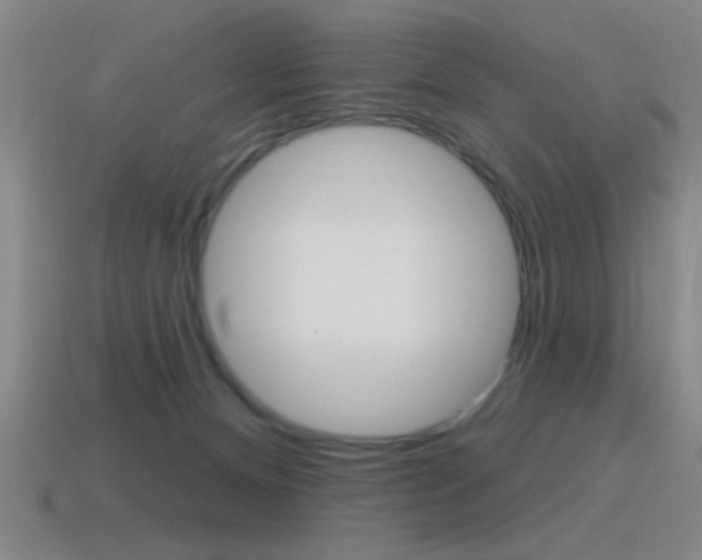 X0000115650128200911101124