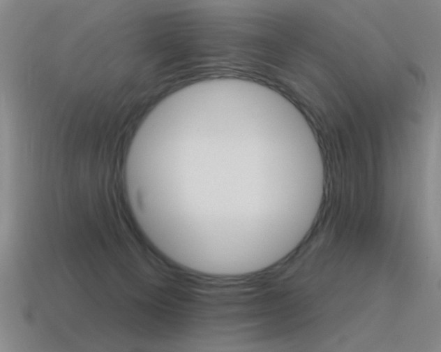 X0000115650129200911101124
