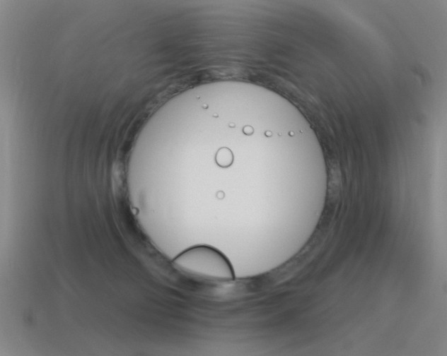 X0000115650130200911101124