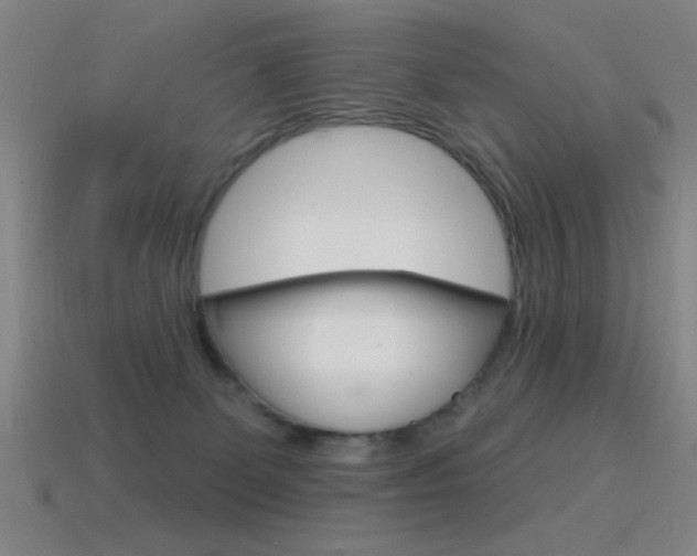 X0000115650131200911101124