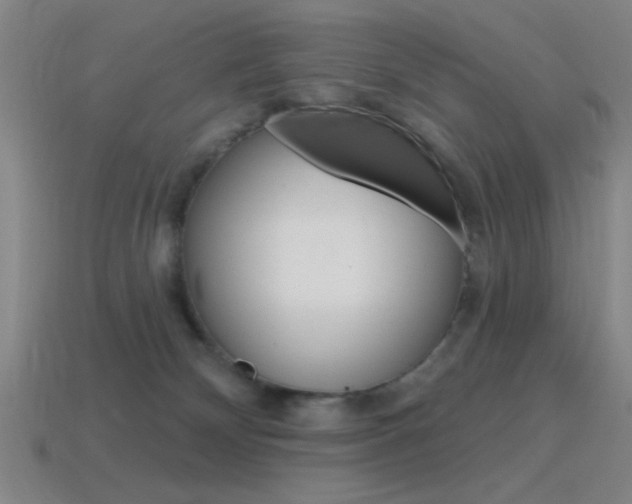 X0000115650132200911101124