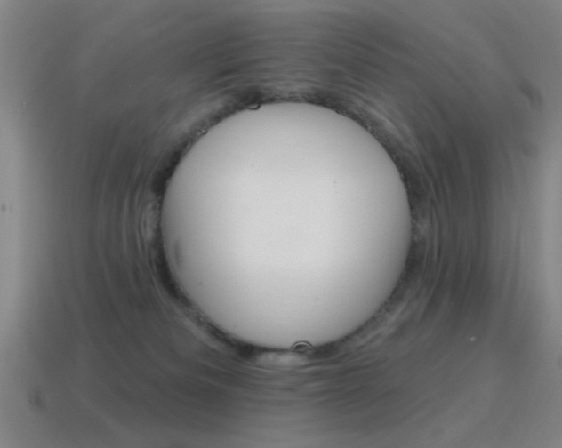 X0000115650133200911101124