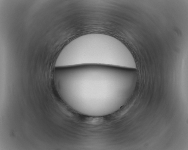 X0000115650135200911101124
