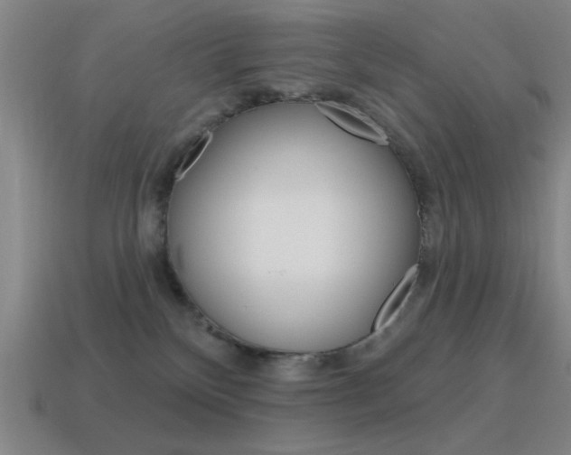 X0000115650136200911101124