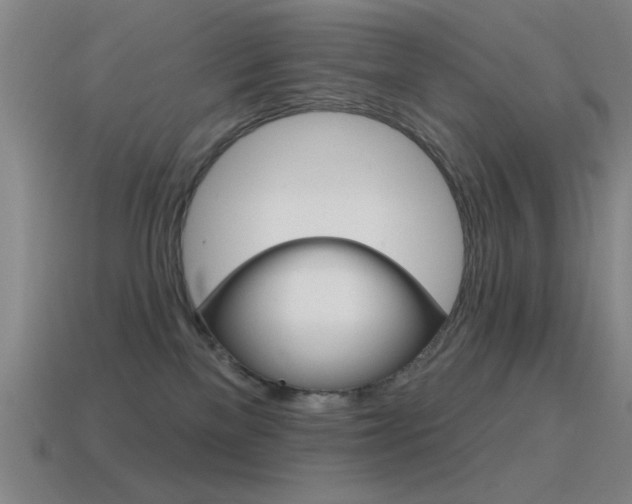 X0000115650137200911101124