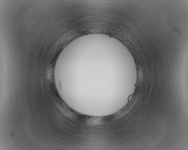 X0000115650138200911101124
