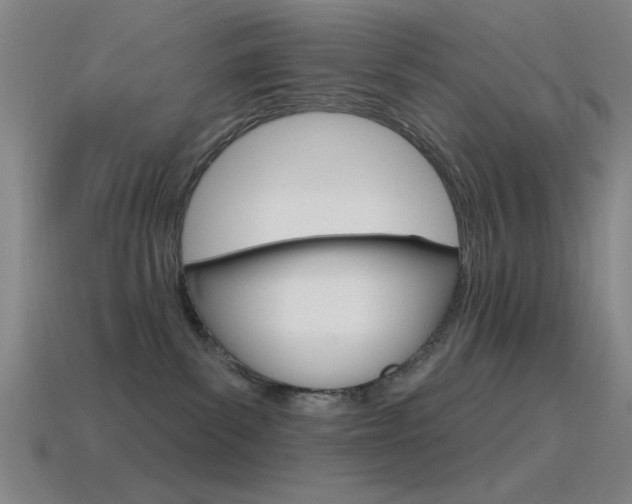 X0000115650139200911101124