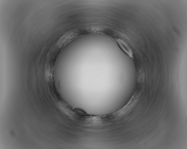 X0000115650140200911101124