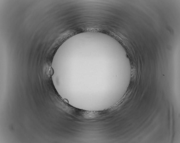 X0000115650142200911101124