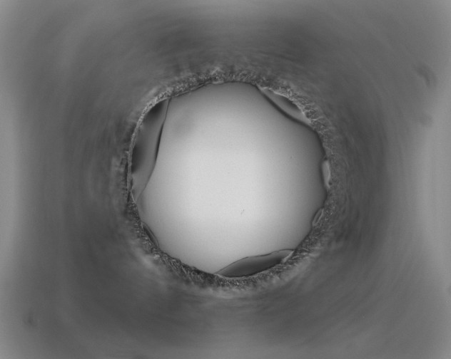 X0000115650144200911101124