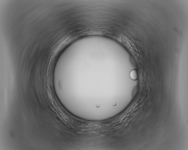 X0000115650145200911101123