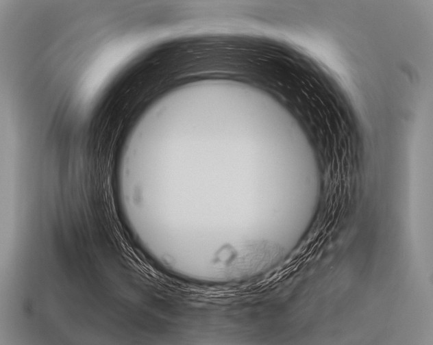 X0000115650146200911101123