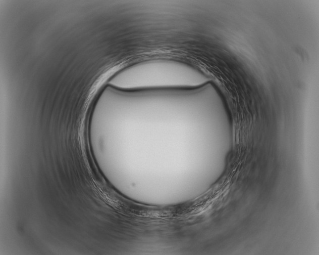 X0000115650147200911101123