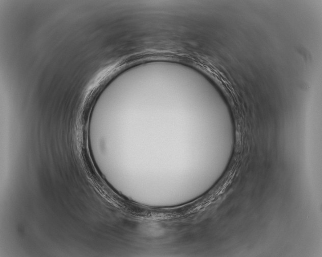 X0000115650149200911101123
