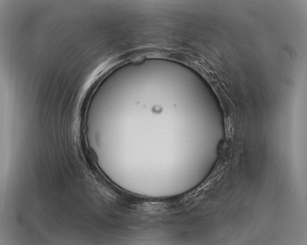 X0000115650150200911101123