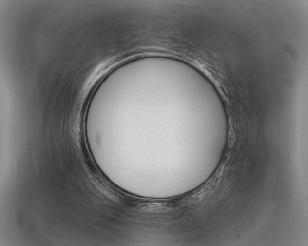 X0000115650151200911101123