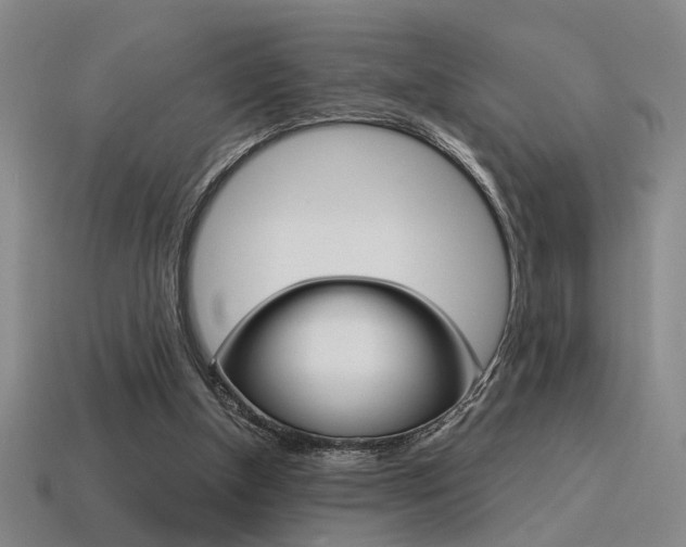 X0000115650154200911101123
