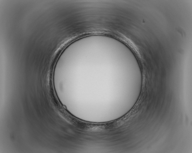 X0000115650155200911101123